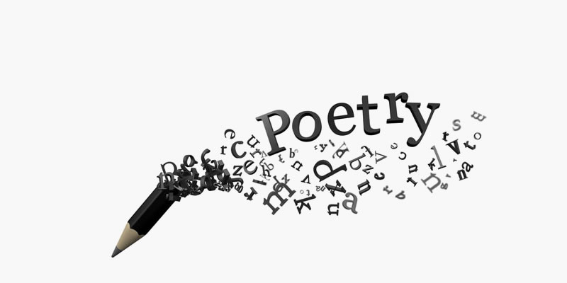 An Emerging field in Poetry: Slesa or Bi-textual poetry: 6 Important Insights
