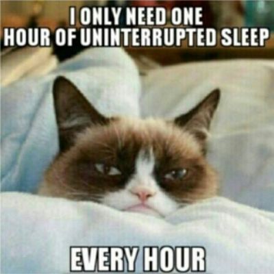 5 Things Every Fresher Dreams