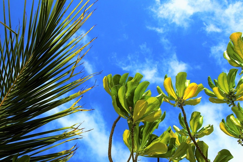 Understanding the significance of Paradise in Life: Tracing the Existence of Life in 3 Major Ways!