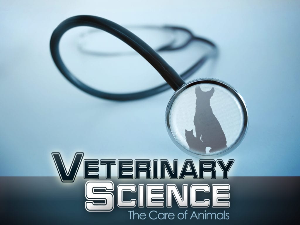 Top Medical Courses that Do Not Require NEET