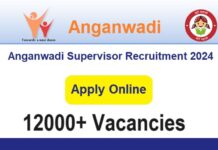 Anganwadi Supervisor Recruitment 2024: A Complete Guide Anganwadi Supervisor Recruitment 2024
